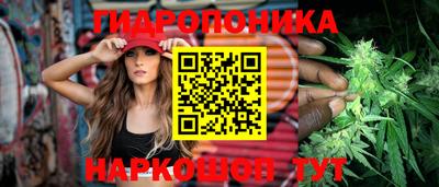 ECSTASY Можга